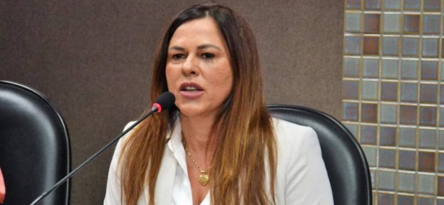 Deputada Soane Galvão apresenta projeto de lei em prol das mulheres em fase de amamentação.