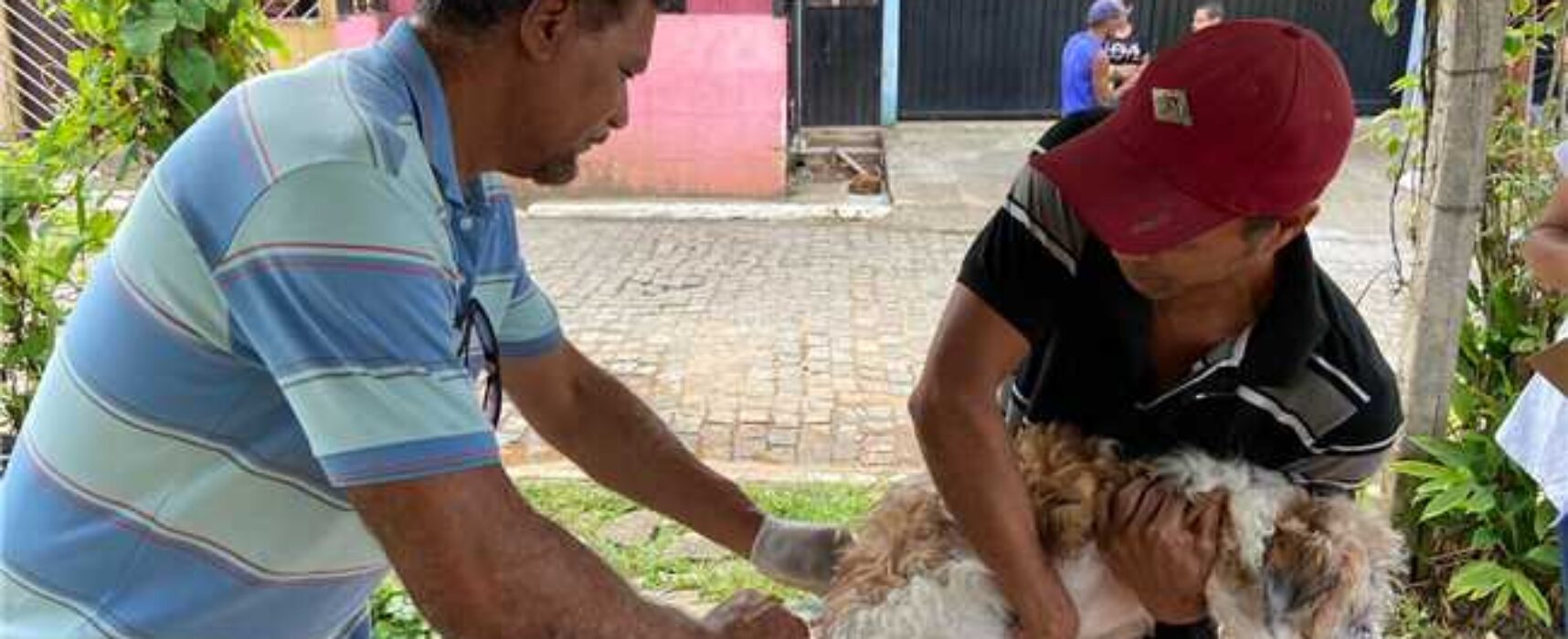 Patrulha da vacinação: Prefeitura de Ilhéus divulga cronograma semanal da campanha antirrábica
