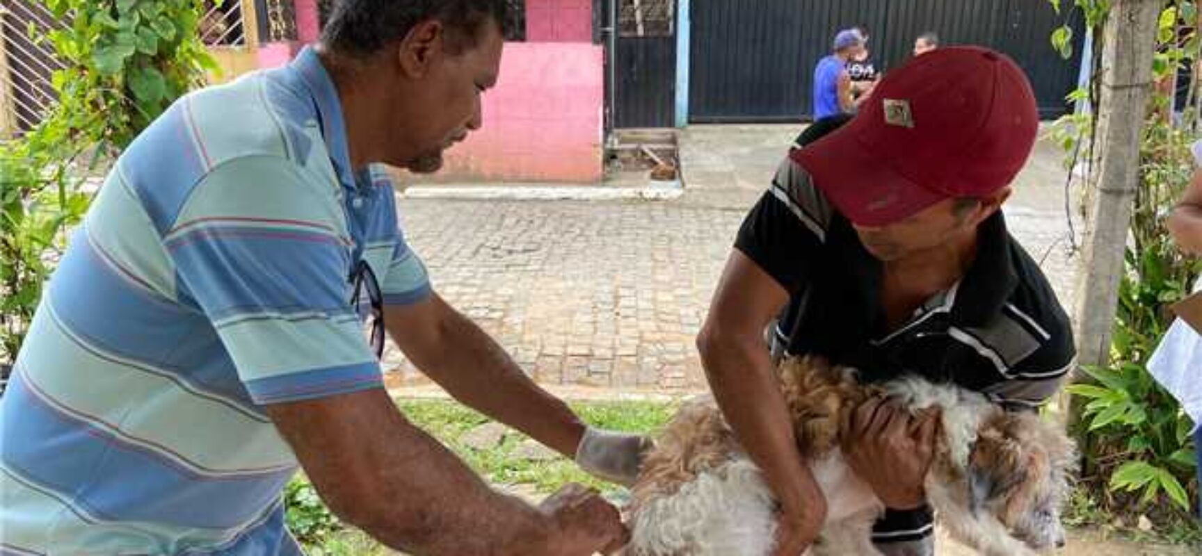 Patrulha da vacinação: Prefeitura de Ilhéus divulga cronograma semanal da campanha antirrábica