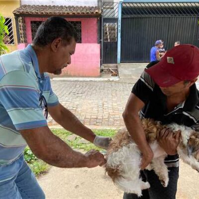 Patrulha da vacinação: Prefeitura de Ilhéus divulga cronograma semanal da campanha antirrábica