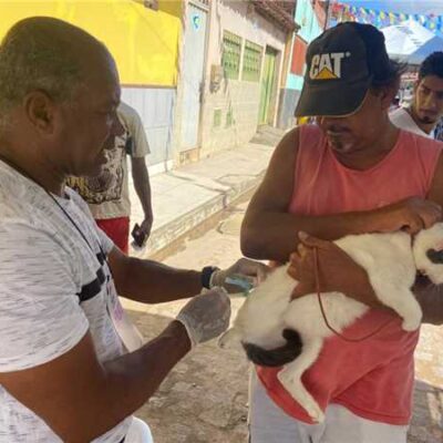 Ilhéus inicia campanha de vacinação antirrábica a partir da próxima segunda-feira (24); veja pontos