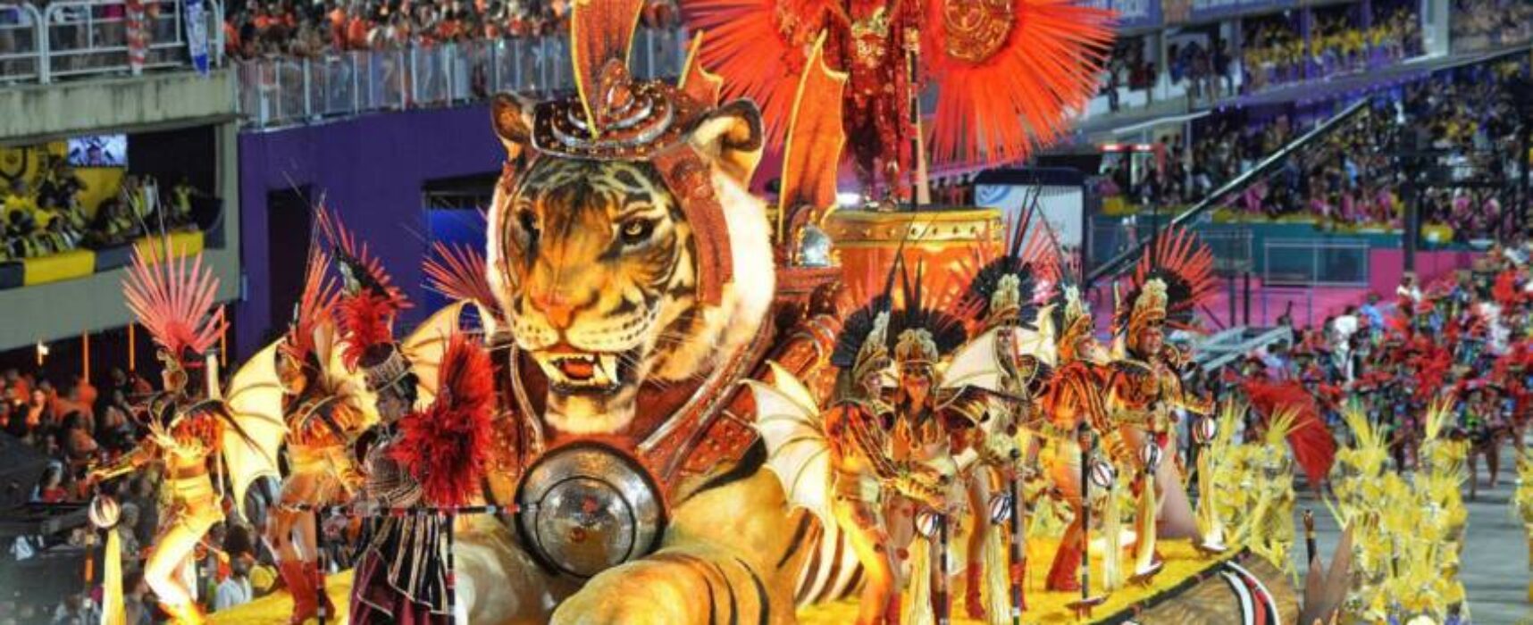 Livros inspiram enredos de escolas de samba do Rio no carnaval de 2024