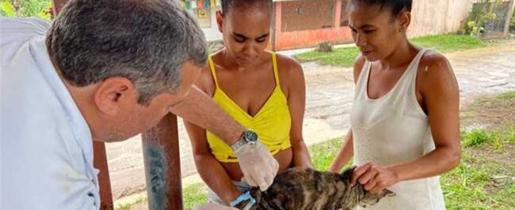 Campanha de vacinação antirrábica atende área urbana e zona rural de Ilhéus; veja cronograma semanal