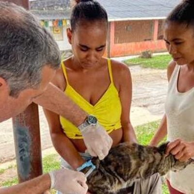 Campanha de vacinação antirrábica atende área urbana e zona rural de Ilhéus; veja cronograma semanal