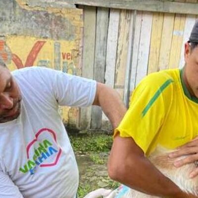 Campanha antirrábica em Ilhéus: veja o cronograma da semana de 28 de agosto a 1º de setembro