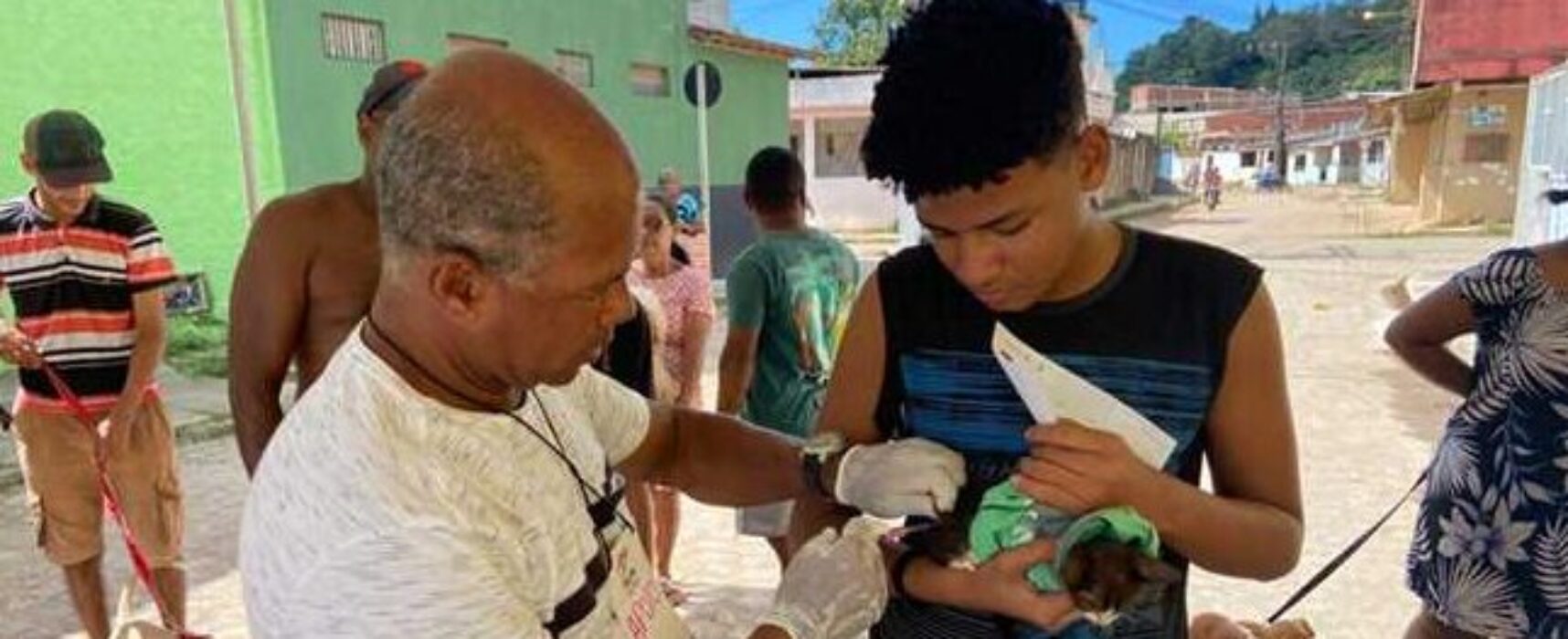 Campanha de vacinação antirrábica em Ilhéus: veja o cronograma da semana de 21 a 25 de agosto