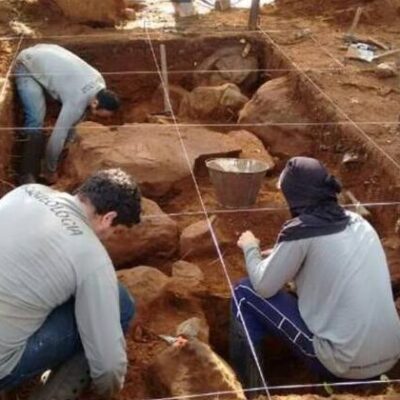 Pesquisadores brasileiros dominam técnica para sequenciar DNA antigo