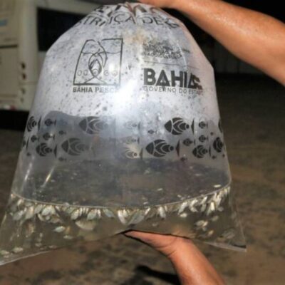 Prefeitura de Itabuna firma mais uma parceria com a Bahia Pesca