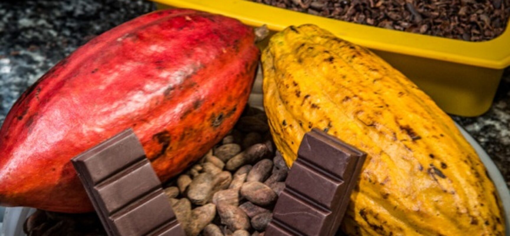 Na ExpoCacau, Centro de Inovação recebe amostras para concurso e apresenta oportunidades para produtores