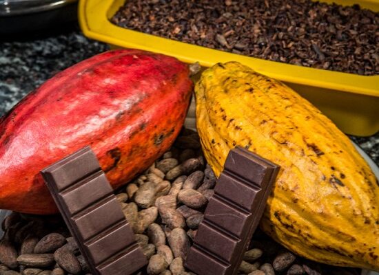 Na ExpoCacau, Centro de Inovação recebe amostras para concurso e apresenta oportunidades para produtores