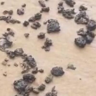 Manchas de óleo são encontradas em seis praias de Salvador