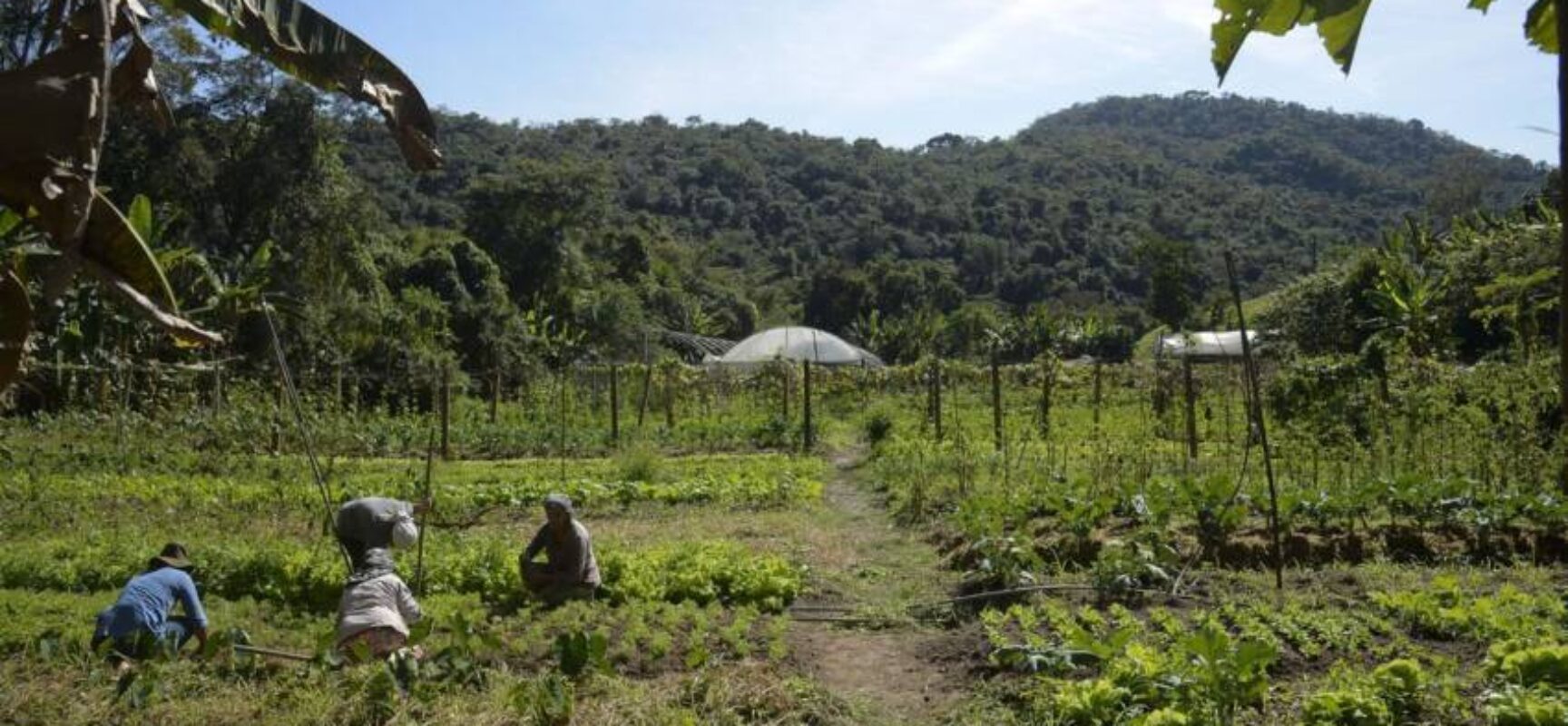 Lei institui política de empreendedorismo para jovens no campo