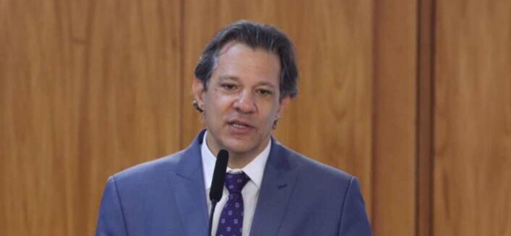 Haddad espera aprovação de meios para Plano de Transformação Ecológica