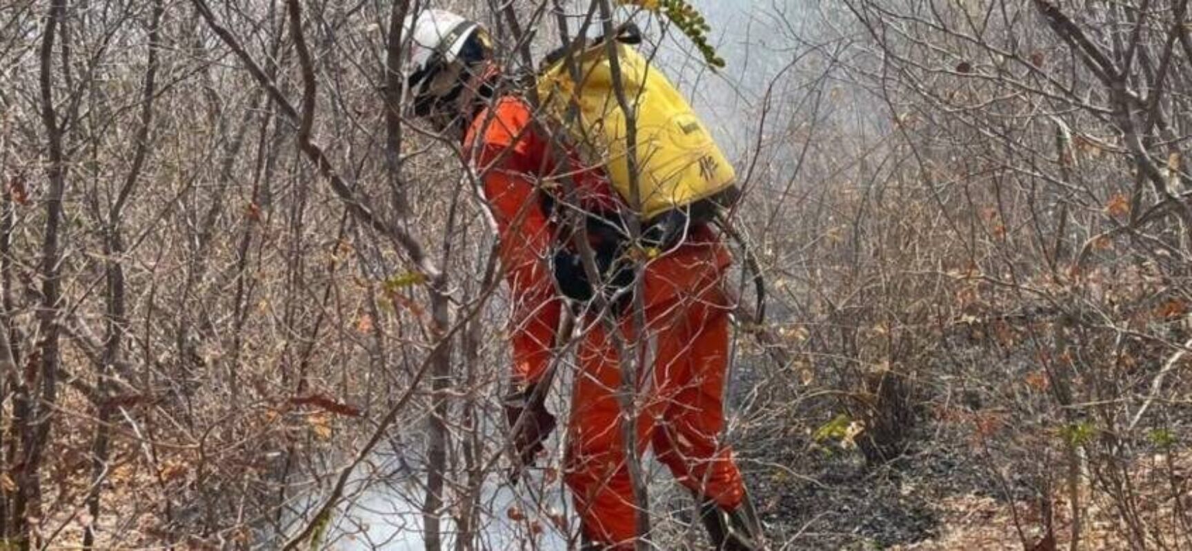 Bombeiros combatem incêndios florestais em 16 cidades baianas