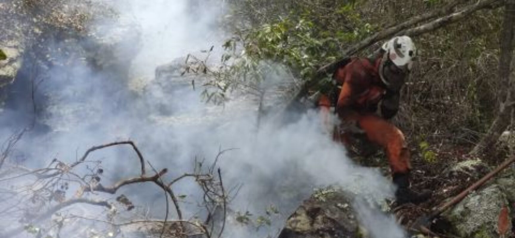 Mais de 350 bombeiros continuam a combater incêndios florestais na Bahia