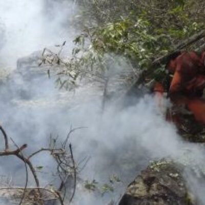 Mais de 350 bombeiros continuam a combater incêndios florestais na Bahia