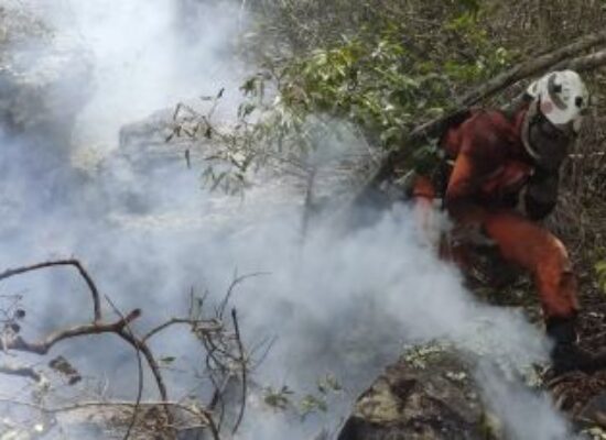 Mais de 350 bombeiros continuam a combater incêndios florestais na Bahia