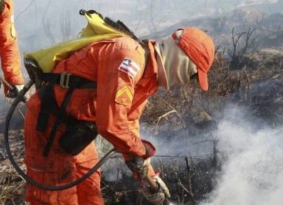 Mais de 200 bombeiros atuam no combate a incêndios na Bahia