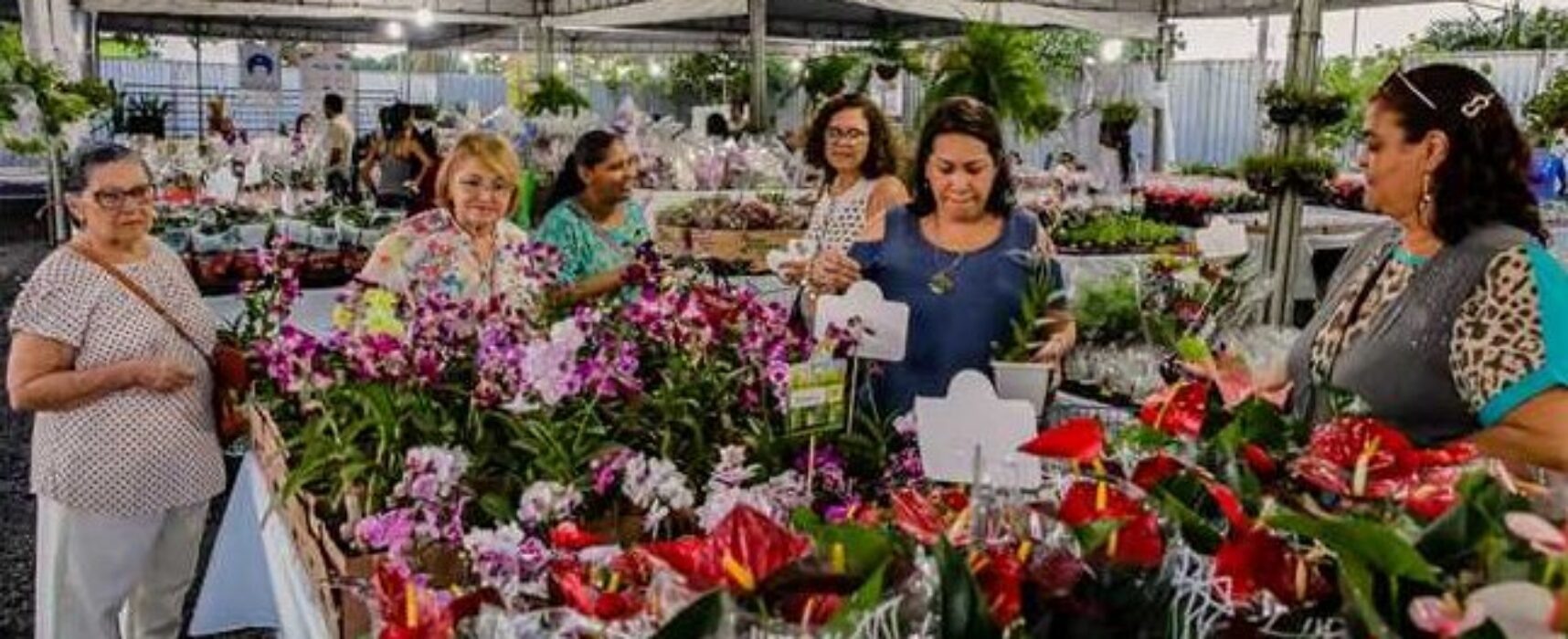 Ilhéus em Flor começa nesta terça-feira (24); exposição acontece na Avenida Soares Lopes