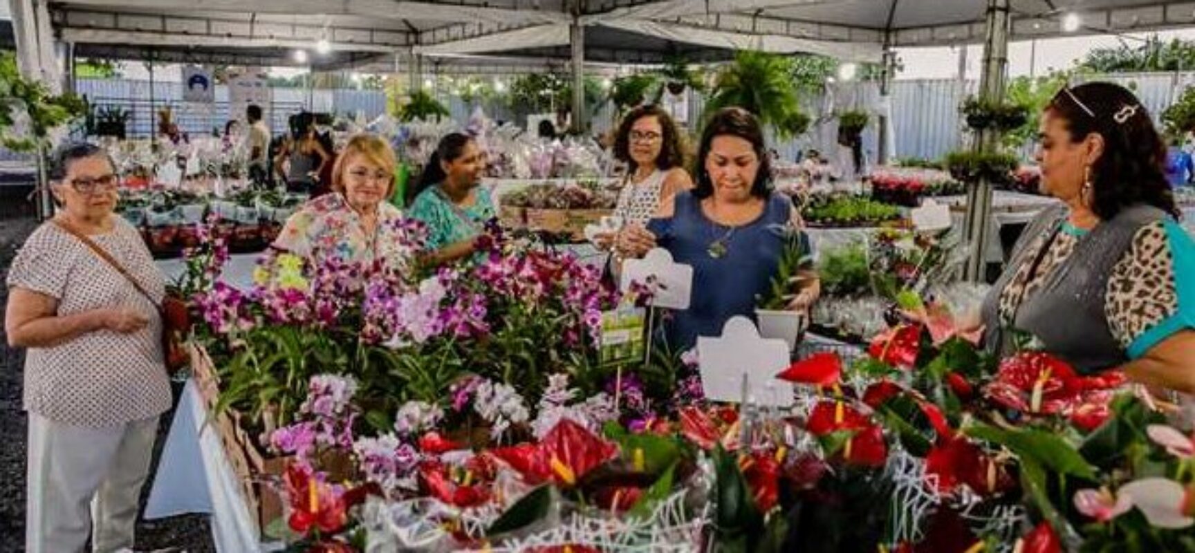 Ilhéus em Flor começa nesta terça-feira (24); exposição acontece na Avenida Soares Lopes