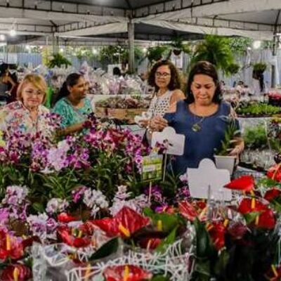 Ilhéus em Flor começa nesta terça-feira (24); exposição acontece na Avenida Soares Lopes