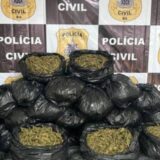 Polícia apreende 40 quilos de maconha no Retiro em Salvador