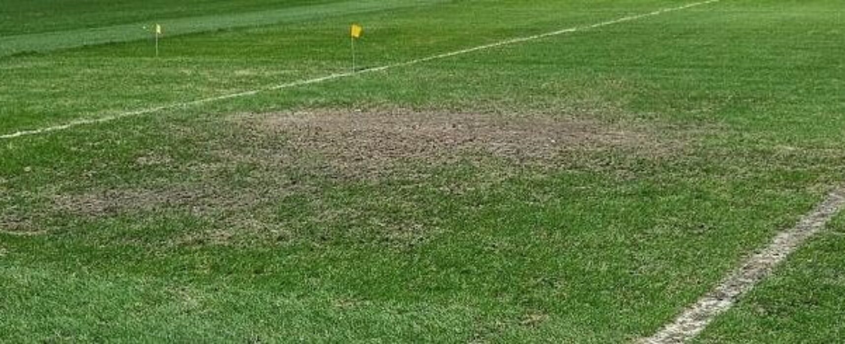 Futebol: gramado nos estádios vira tema de debate no Brasil e no mundo