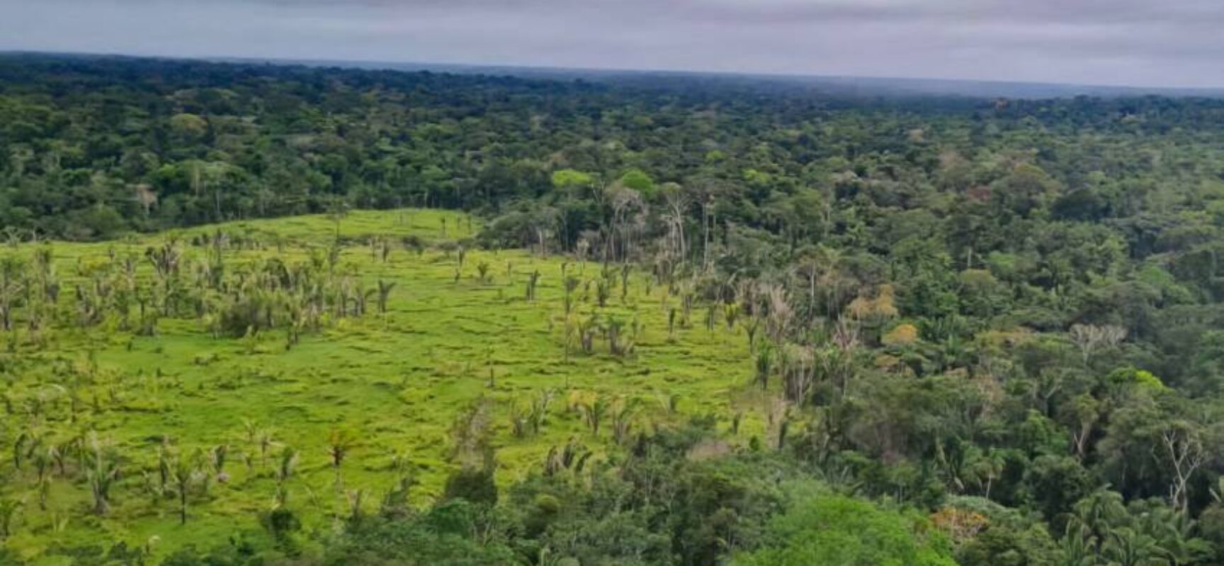 Entenda o que é e para que serve o mercado de carbono