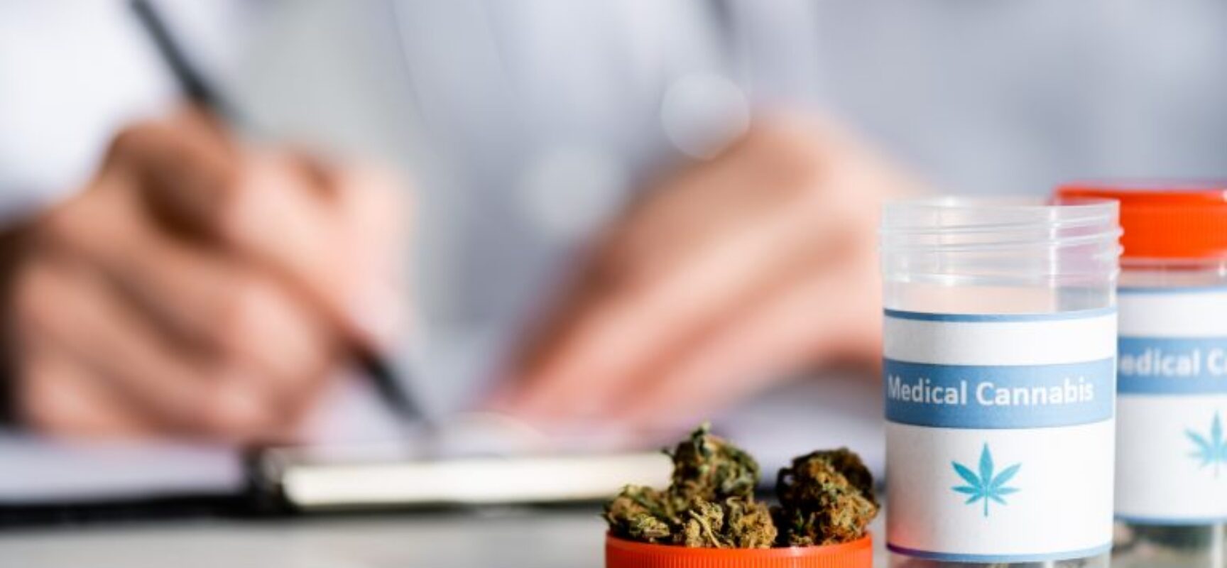 Cadeia produtiva da Cannabis para fins medicinais é tema de audiência na próxima terça