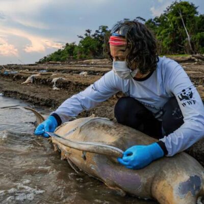 Alckmin e ministros vão a Manaus discutir medidas contra seca extrema