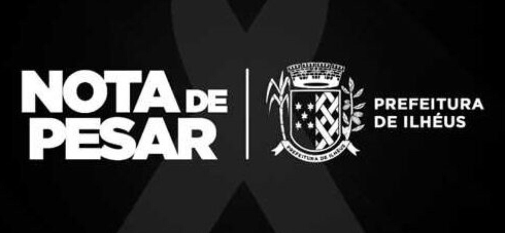 Nota de pesar e repúdio ao assassinato da jovem Maiquele Silva dos Santos