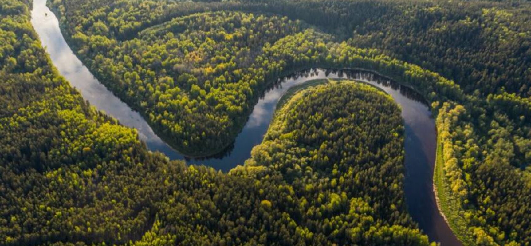 Na COP 28, Noruega anuncia nova doação de R$ 245 milhões ao Fundo Amazônia