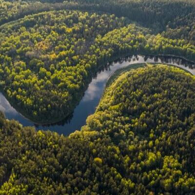 Na COP 28, Noruega anuncia nova doação de R$ 245 milhões ao Fundo Amazônia