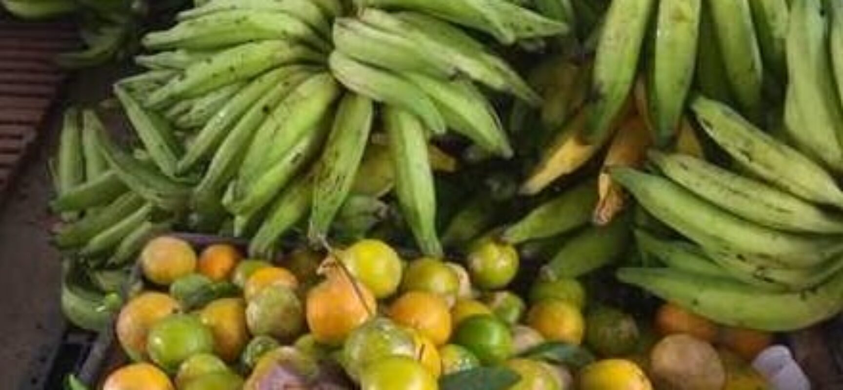 PAA Estadual: 80 famílias da agricultura familiar serão beneficiadas em 2024
