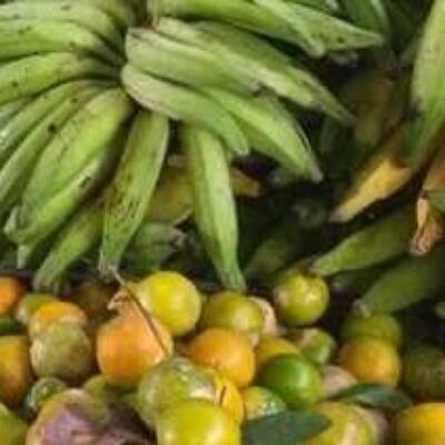 PAA Estadual: 80 famílias da agricultura familiar serão beneficiadas em 2024