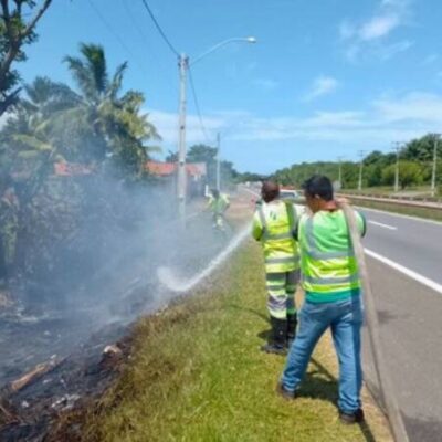 Em 10 semanas, CLN registra 51 casos de queimadas às margens da Linha Verde