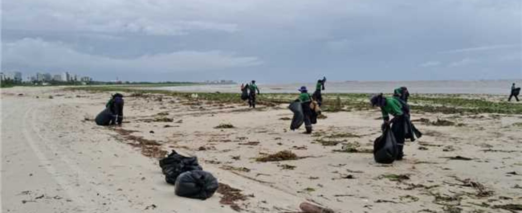 Prefeitura realiza ações para retirada de baronesas e lixo das praias de Ilhéus