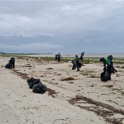 Prefeitura realiza ações para retirada de baronesas e lixo das praias de Ilhéus