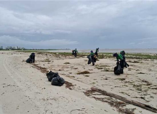 Prefeitura realiza ações para retirada de baronesas e lixo das praias de Ilhéus