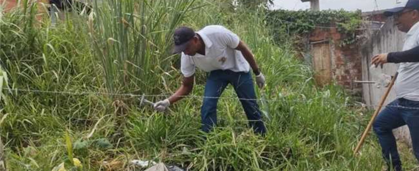 Ilhéus em alerta: ação conjunta contra o Aedes aegypti para prevenir a dengue