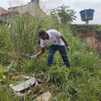 Ilhéus em alerta: ação conjunta contra o Aedes aegypti para prevenir a dengue