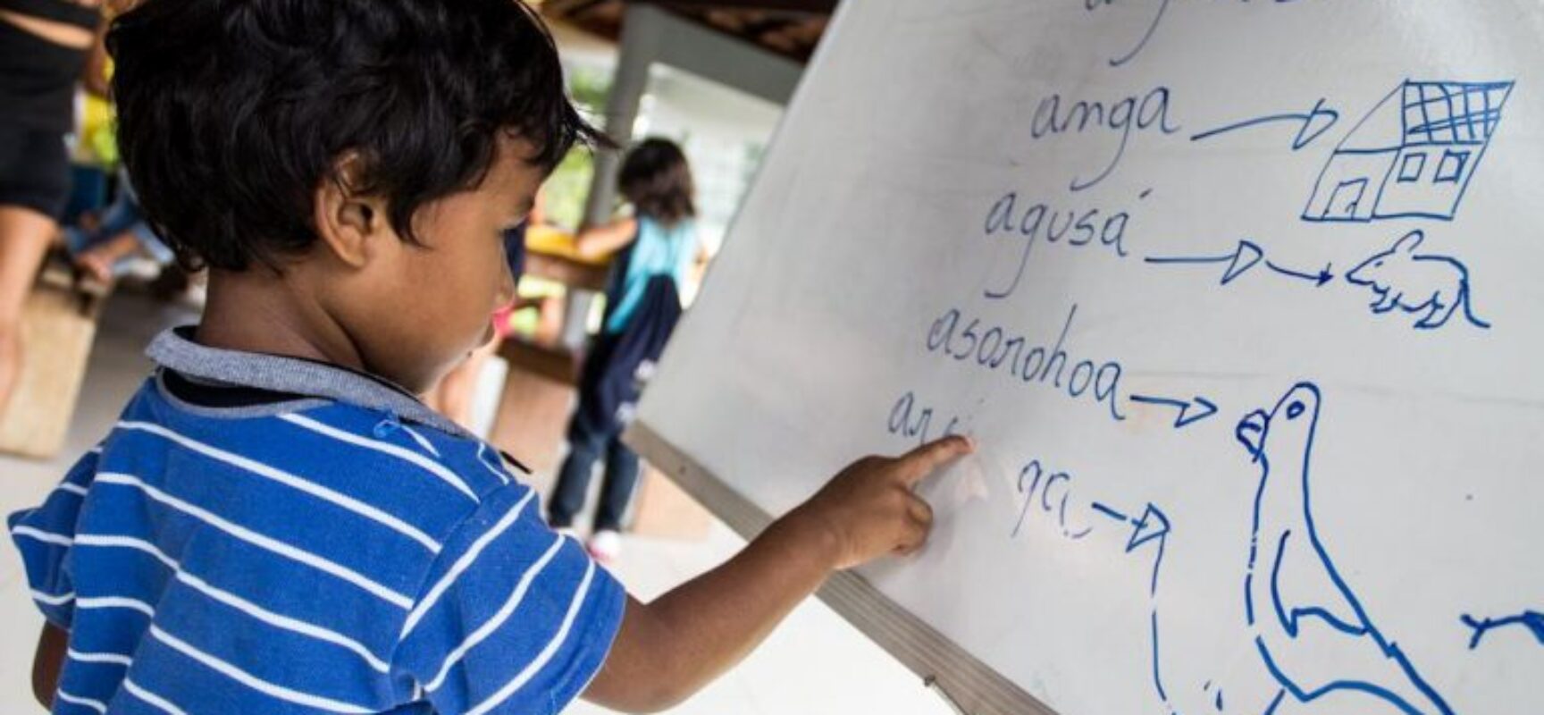 Projeto cria programa para preservar línguas faladas por povos indígenas