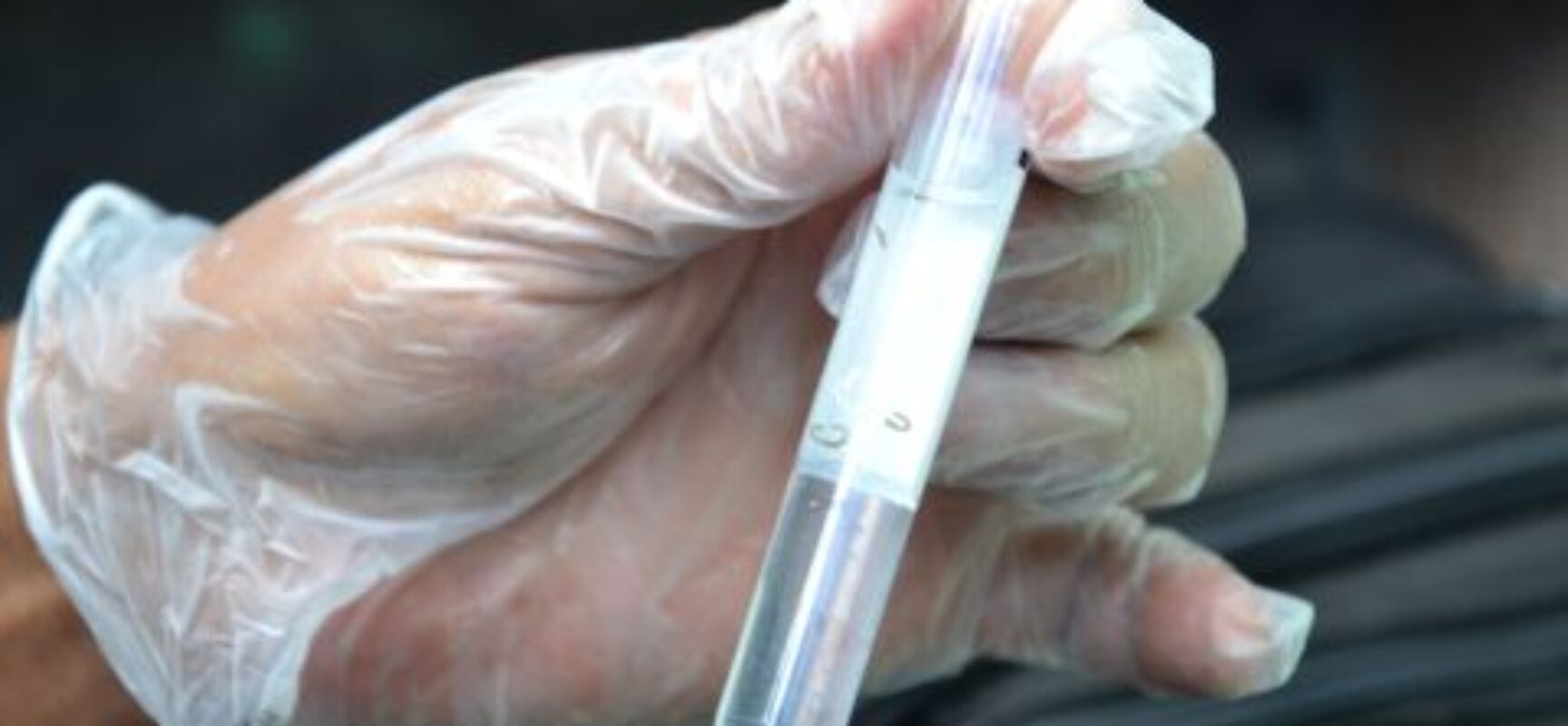 Dengue e Covid têm sintomas semelhantes, mas diferenças chamam atenção