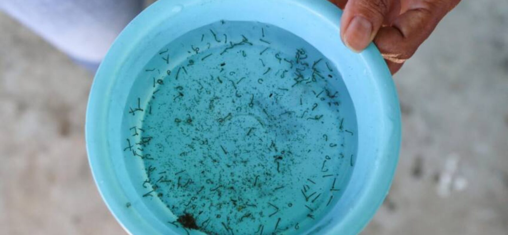 Sesab confirma quarta morte por dengue no estado
