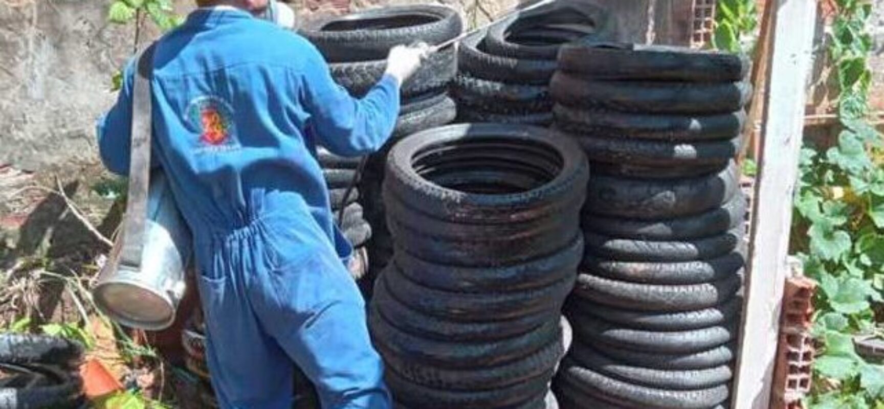 Índice de infestação do mosquito da dengue cai, mas Ilhéus mantém estado de alerta