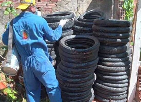 Índice de infestação do mosquito da dengue cai, mas Ilhéus mantém estado de alerta