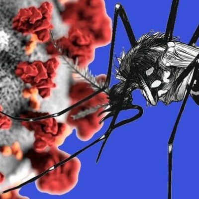 ATENÇÃO: Sesab confirma quinta morte por dengue na Bahia
