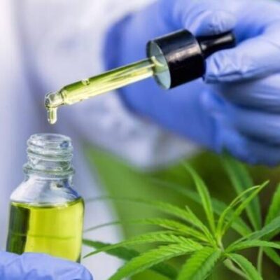 Audiência pública do STJ vai discutir uso da cannabis para produção de medicamentos