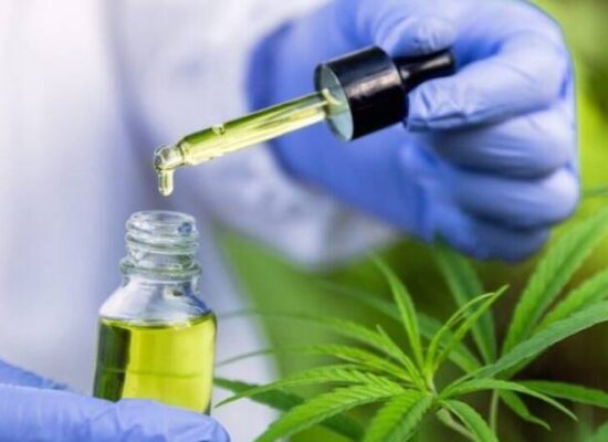 Audiência pública do STJ vai discutir uso da cannabis para produção de medicamentos