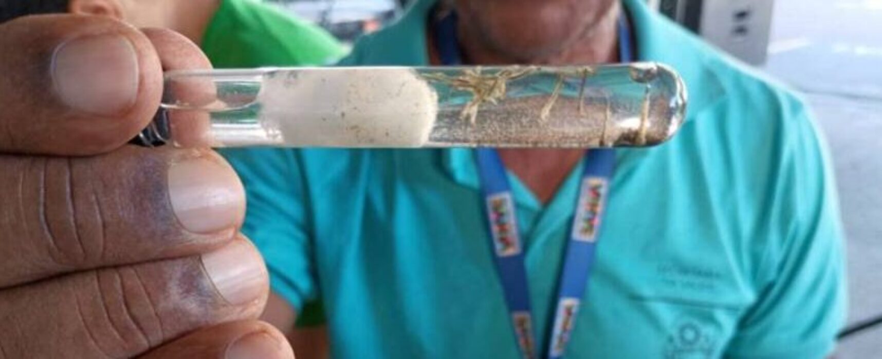 Vitória da Conquista lidera o número de casos e mortes por Dengue na Bahia